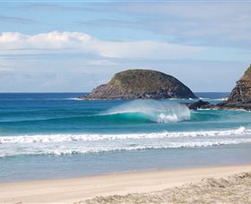 Surfaris Surf Camp - Attractions Brisbane 4