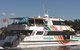 Fantasea Cruising Sydney - thumb 6