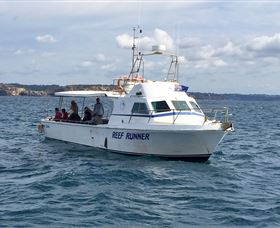 Deep Sea Fishing Charter - Attractions Brisbane 3