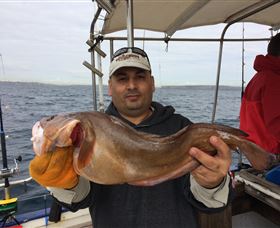 Deep Sea Fishing Charter - Attractions Brisbane 5