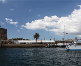 H2O Maxi Taxis - Attractions Brisbane 0