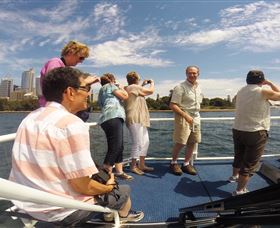 H2O Maxi Taxis - Attractions Brisbane 2