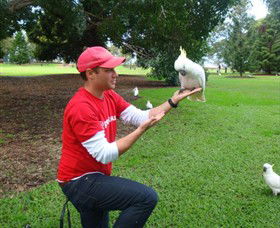 Peek Tours Sydney - Attractions Brisbane 2