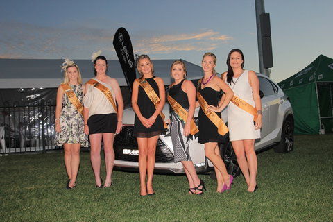 Bathurst Harness Racing Club - Attractions Brisbane 2