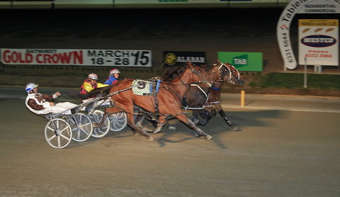 Bathurst Harness Racing Club - Attractions Brisbane 3