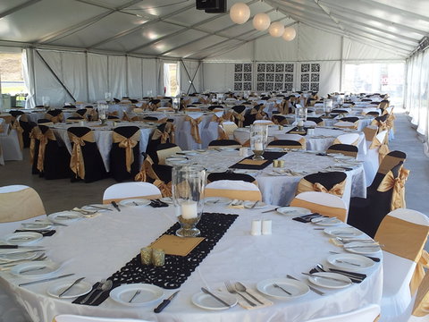 Bathurst Harness Racing Club - Attractions Brisbane 5