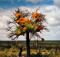 The Delmar Gallery - Attractions Brisbane