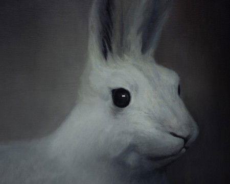 Gallery 9 - Attractions Brisbane 2