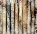 Kerrie Lowe Gallery - Attractions Brisbane 0