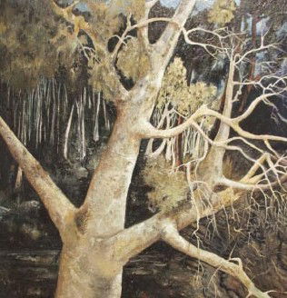 Allawah NSW Attractions Brisbane