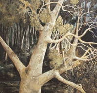 Ku-Ring-Gai Art Centre  Gallery - Attractions Brisbane