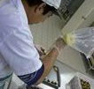 Fremantle Chocolate Pty ltd - Attractions Brisbane