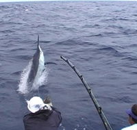 Amokura Charters - Attractions Brisbane