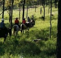 Hunter Valley Horse Riding and Adventures - Attractions Brisbane