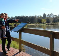 Hunter Wetlands Centre Australia - Attractions Brisbane
