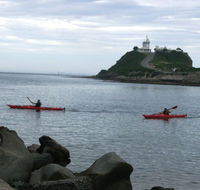 Newcastle Kayak Tours - Attractions Brisbane