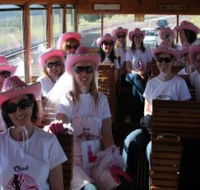 Newcastles Famous Tram - Attractions Brisbane