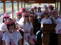 Newcastles Famous Tram