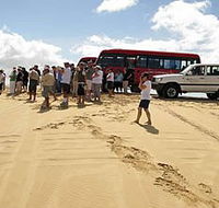 Port Stephens 4WD Tours - Attractions Brisbane
