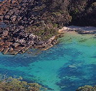 Sydney Weekend Adventures - Attractions Brisbane