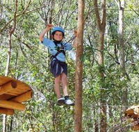TreeTops Newcastle - Attractions Brisbane