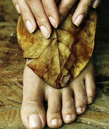 Royal Day Spa - Attractions Brisbane 7