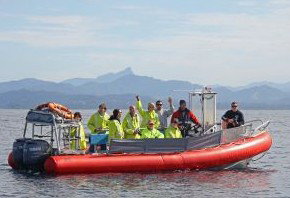 Byron Bay Whale Watching - Attractions Brisbane 2