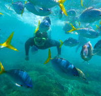 G Adventures - Attractions Brisbane