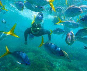 G Adventures - Attractions Brisbane 0