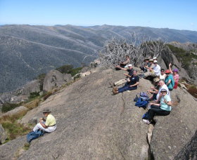 High Country Motel Tours - Attractions Brisbane 1