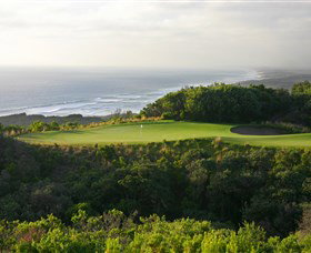 Platinum Pro Golf Tours - Attractions Brisbane 0
