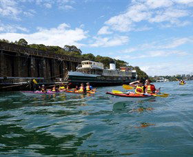 Natural Wanders - Attractions Brisbane 5