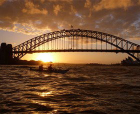 Natural Wanders - Attractions Brisbane 6