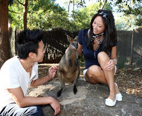 VIP Aussie Gold - Attractions Brisbane 0