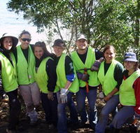 Conservation Volunteers Australia - Sydney - Attractions Brisbane