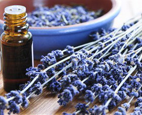 Pure Botanicals - Attractions Brisbane 2