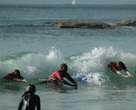 SEA Australia - Attractions Brisbane 2