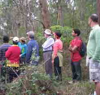 Boronia Tours - Attractions Brisbane