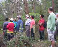 Boronia Tours