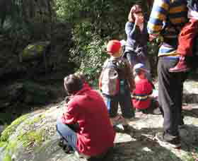 Boronia Tours - Attractions Brisbane 2