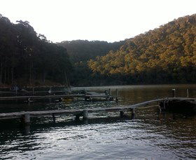 Church Point Ferry Service - Attractions Brisbane 5