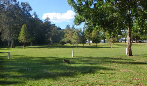 The Basin Picnic Area - Attractions Brisbane 1