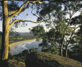 Ocean Beach Umina - Attractions Brisbane 0