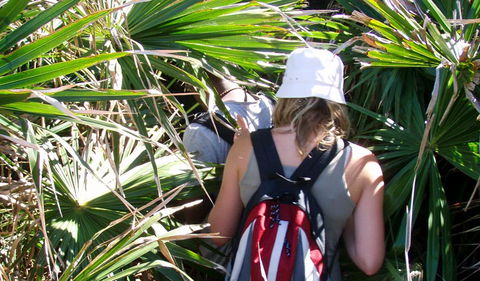 Palm Jungle Loop Track - Attractions Brisbane 0