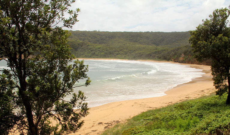 Saratoga NSW Attractions Brisbane