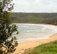 Maitland Bay track - Attractions Brisbane