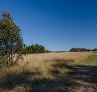 Scheyville horse riding trails - Attractions Brisbane