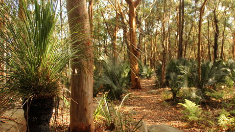 Bouddi National Park - Attractions Brisbane 1