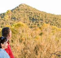 Piles Creek loop - Attractions Brisbane