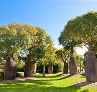Mt Penang Gardens - Attractions Brisbane